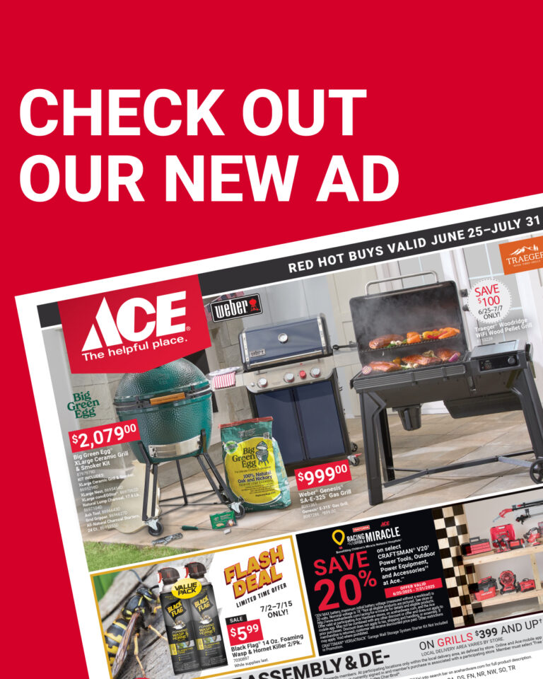 Ace Newsletter